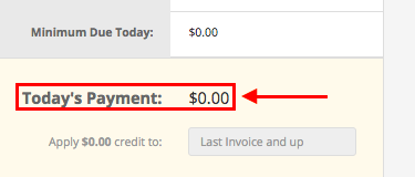 Today_s_Payment.png