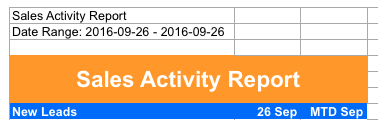 Sales Activity Report header